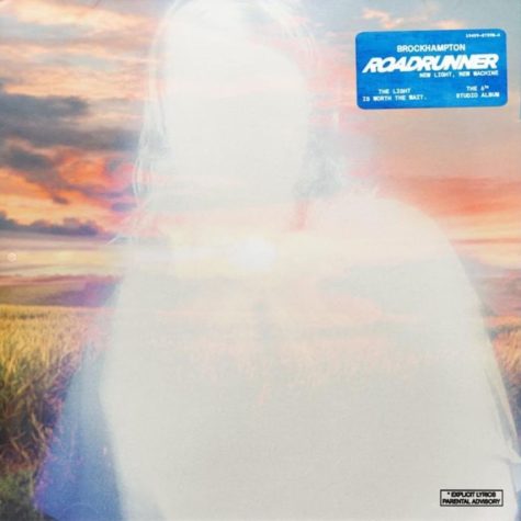 white blur of a ghost with a field in the background